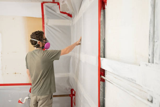 Dehumidification Services in Edgewood, NM