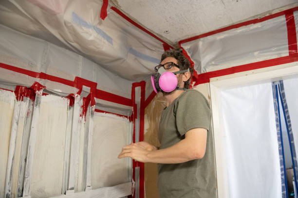  Edgewood, NM Mold Removal Pros