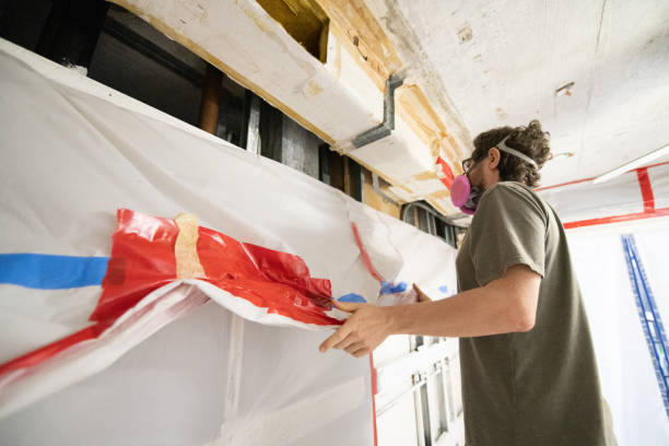 Best Black Mold Removal  in Edgewood, NM