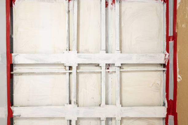 Best Basement Mold Removal  in Edgewood, NM