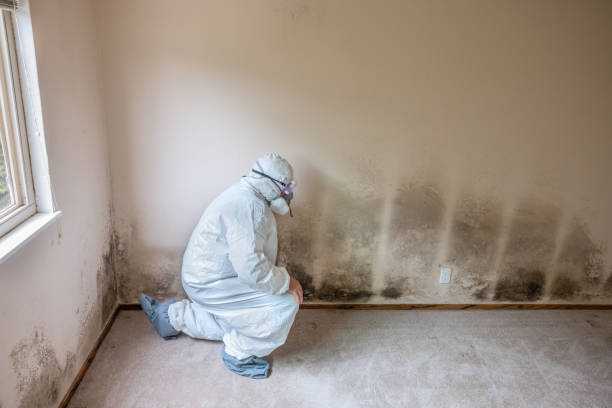 Best Air Quality Testing for Mold Spores  in Edgewood, NM