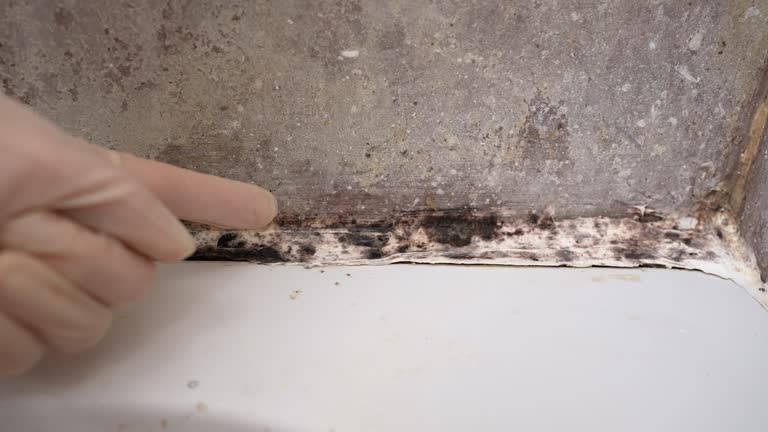 Best Post-Remediation Verification Testing  in Edgewood, NM